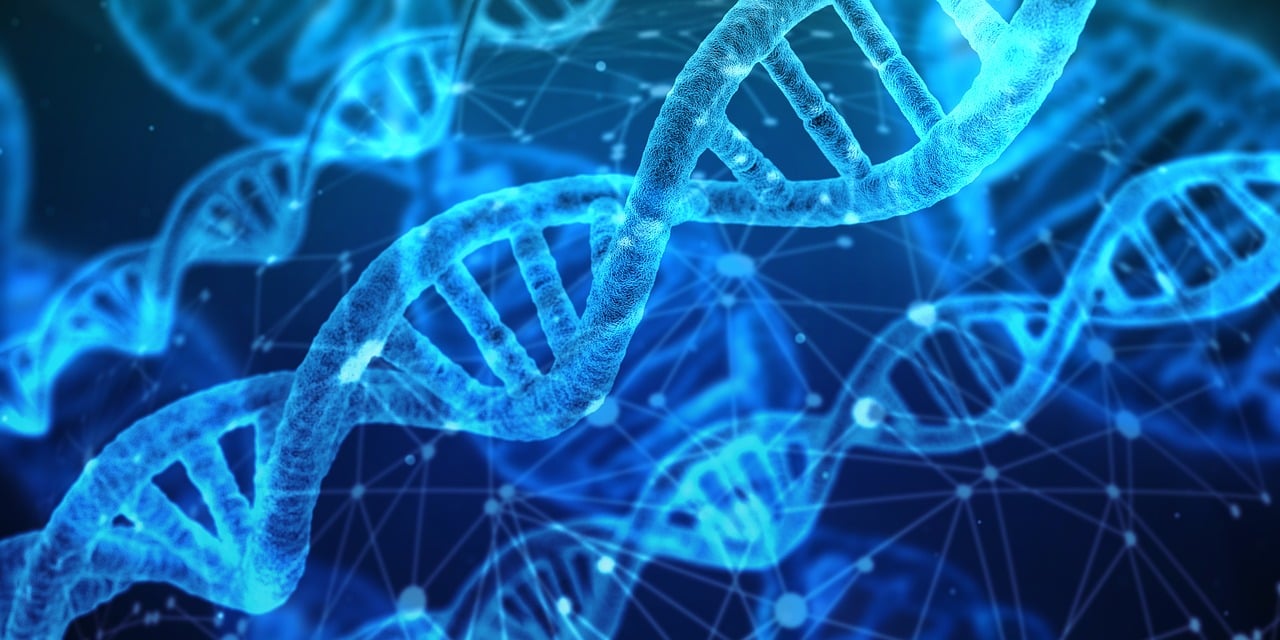 découvrez les dernières innovations qui transforment notre monde, des avancées technologiques aux idées révolutionnaires.